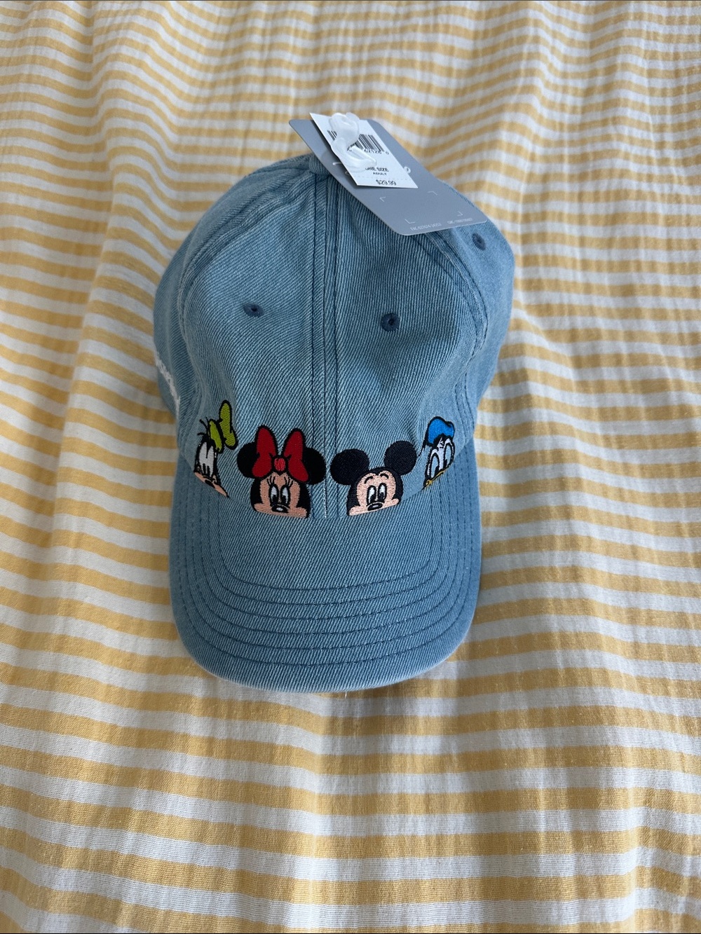 Disneyland Mickey and Friends baseball cap